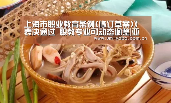上海市职业教育条例(修订草案)》表决通过 职教专业可动态调整|亚博官网(图2) 亚博官网