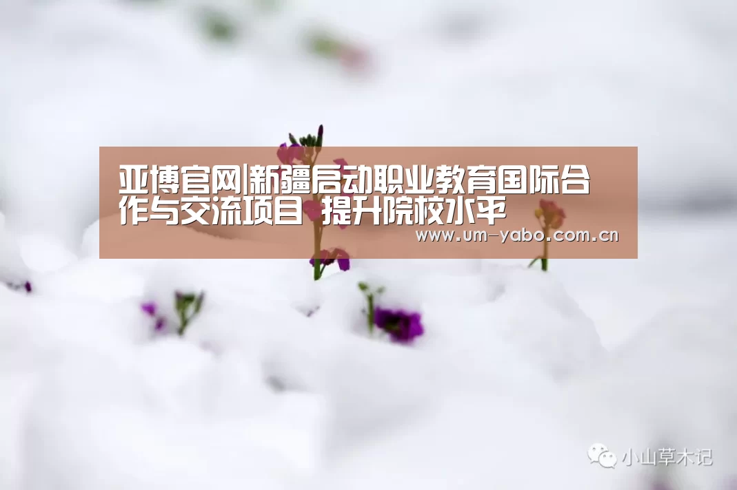 亚博官网|新疆启动职业教育国际合作与交流项目 提升院校水平(图4) 亚博体育下载