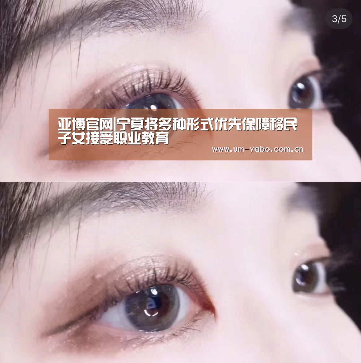 亚博官网|宁夏将多种形式优先保障移民子女接受职业教育(图3) 亚博体育下载