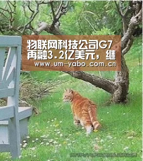 物联网科技公司G7再融3.2亿美元,继续「物流资产与服务」新模式‘亚博体育’(图1) 亚博官网