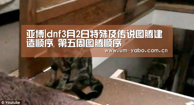亚博|dnf3月2日特殊及传说图腾建造顺序 第五周图腾顺序(图1) 亚博体育